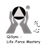qisync.com
