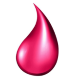 calanoil.pl