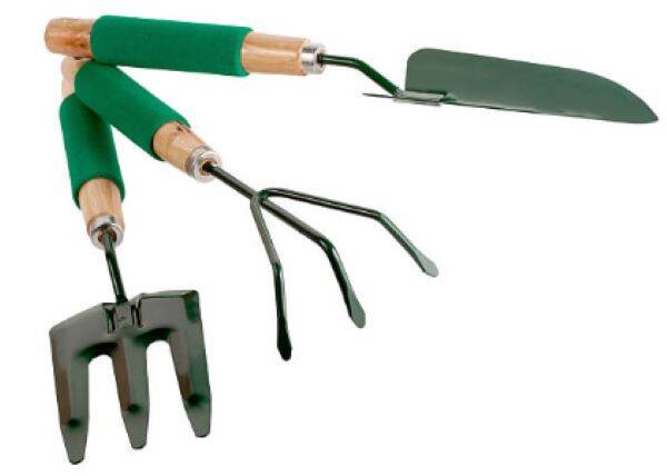 Media: 642c03dd7048b151563626.jpg