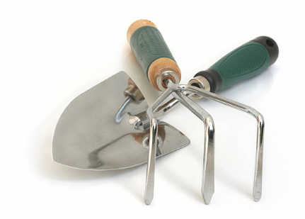 Media: 642c03dd752b2490075044.PNG